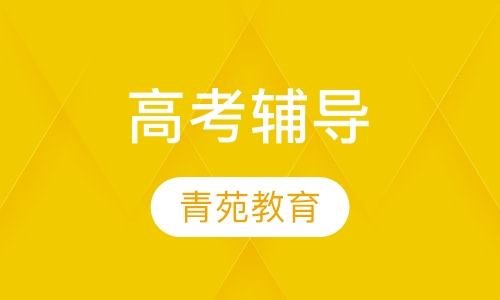 高考辅导
