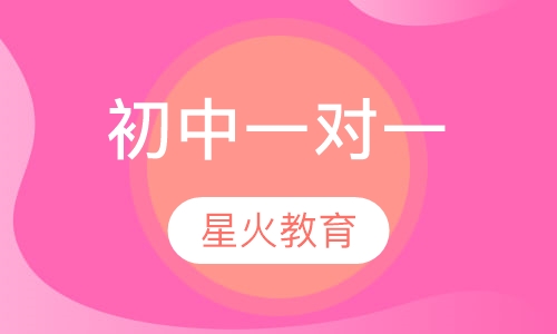 初中一对一