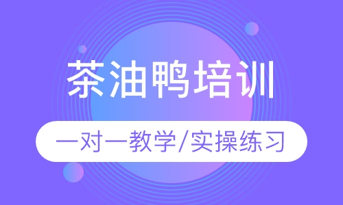 茶油鸭培训