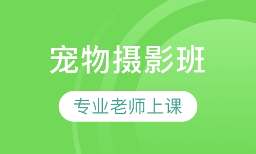 宠物摄影班