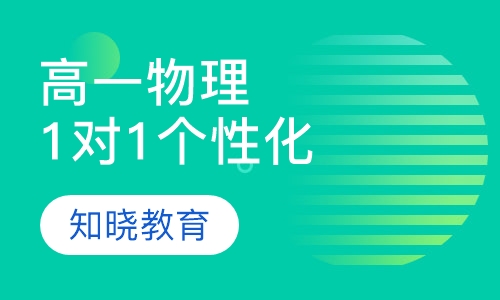 高中一年级物理 1对1个性化辅导