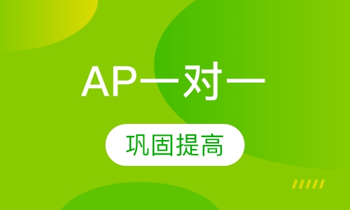 AP一对一