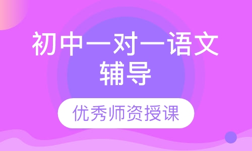 初中一对一语文辅导