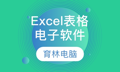 Excel电子表格软件