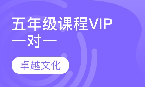 卓越文化小学五年级课程VIP一对一