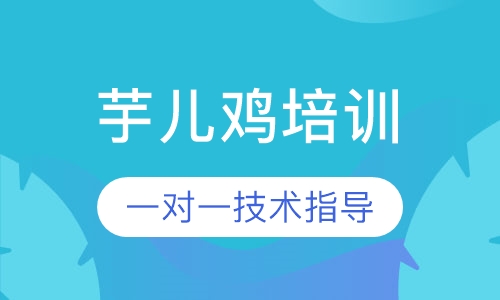 芋儿鸡培训