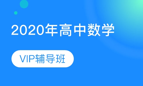 2020年高中数学VIP辅导班
