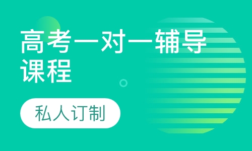 高考一对一辅导课程