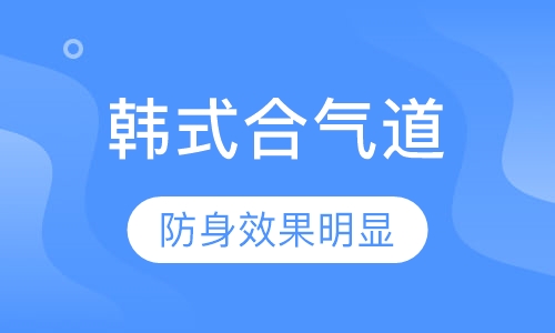韩式合气道课程