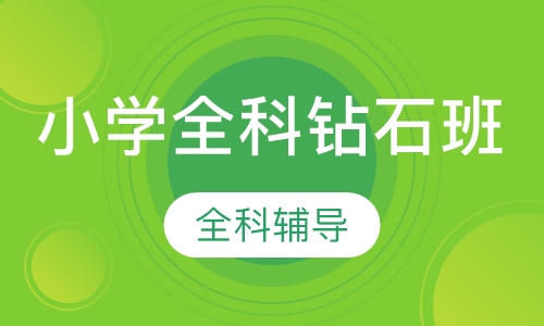 小学全科钻石班