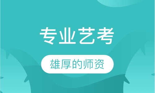 专业艺考班