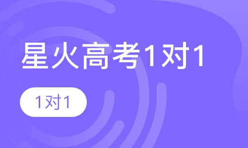 星火高考1对1