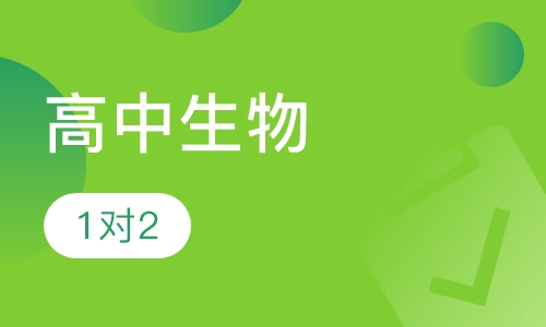 高中生物一对二