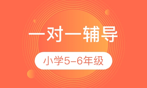 小学5-6年级一对一全科辅导