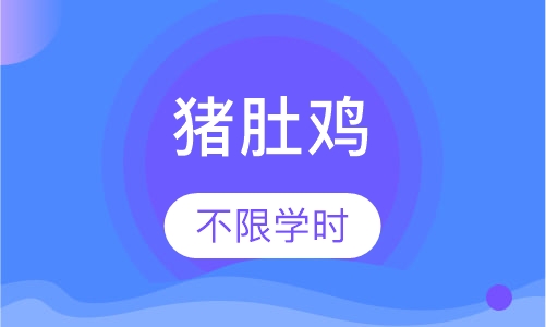 猪肚鸡