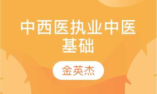 中西医执业中医基础