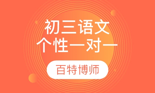 初三语文一对一个性化辅导