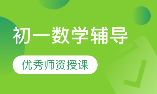 初一数学辅导
