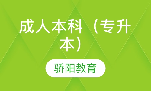 成人本科（专升本）