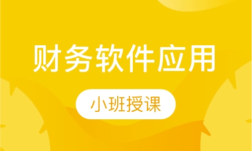 财务软件应用