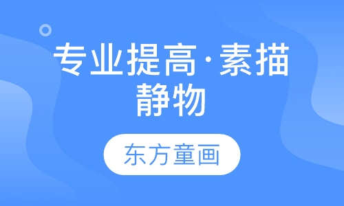 专业提高·素描静物