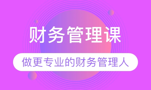 财务管理课（做更专业的财务管理人）