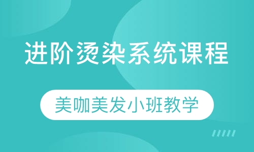 进阶烫染系统课程