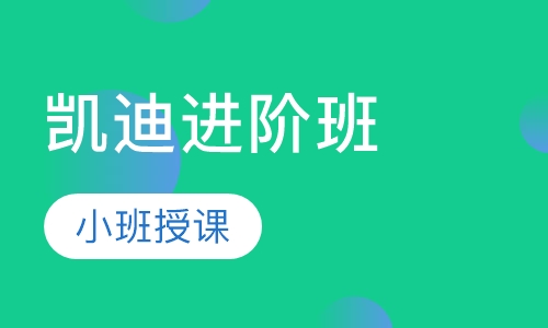 凯迪进阶班