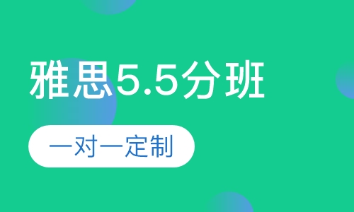 雅思5.5分零基础精品VIP班