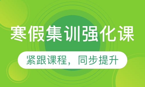 寒假集训强化课