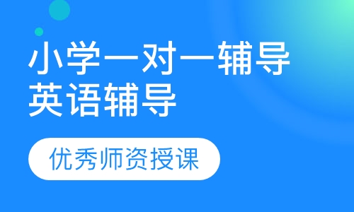 小学一对一辅导英语辅导