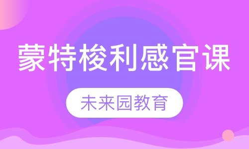 蒙特梭利感官课程(2岁-6岁)