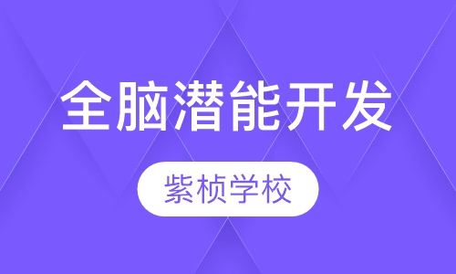 全脑潜能开发