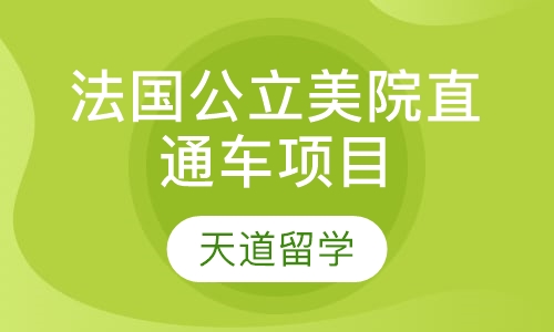 法国公立美院直通车项目