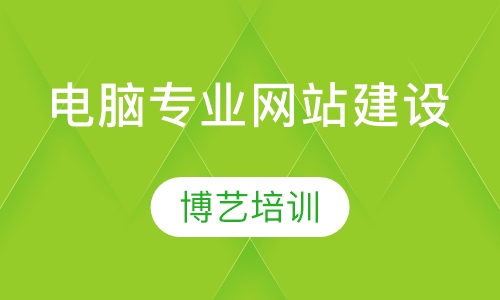电脑专业网站建设