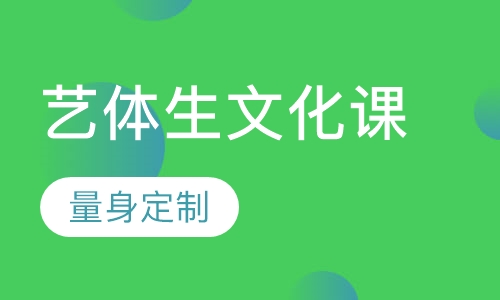 艺体生文化课辅导
