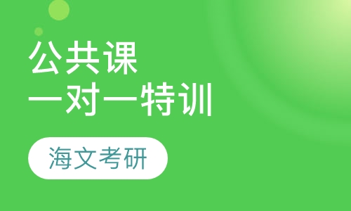 公共课一对一特训