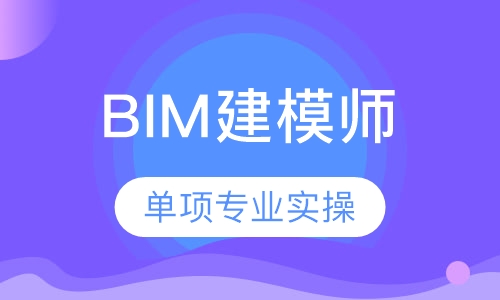 BIM建模师网络班