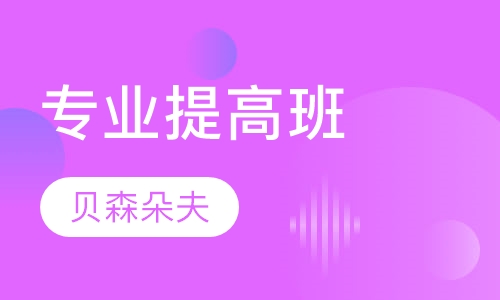 专业提高班