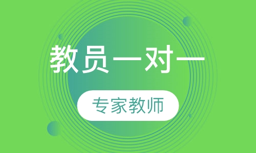 正式教员一对一
