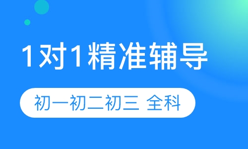 初中一对一辅导