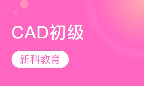 CAD初级