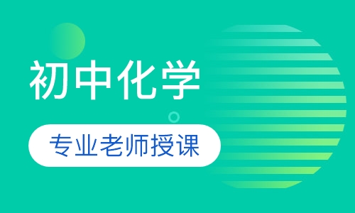 初中化学一对一精品辅导课程