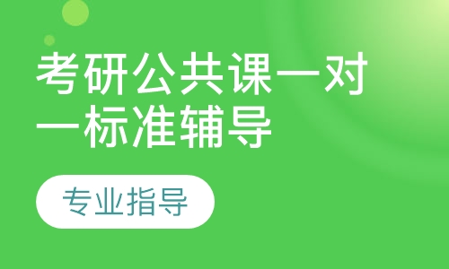 考研公共课一对一标准辅导（20课时）