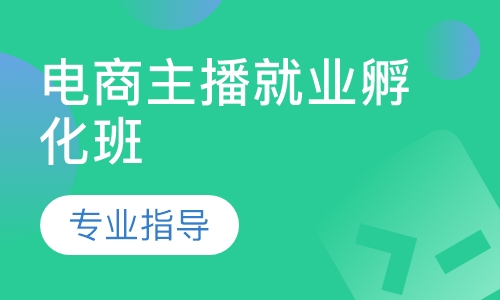电商主播就业孵化班
