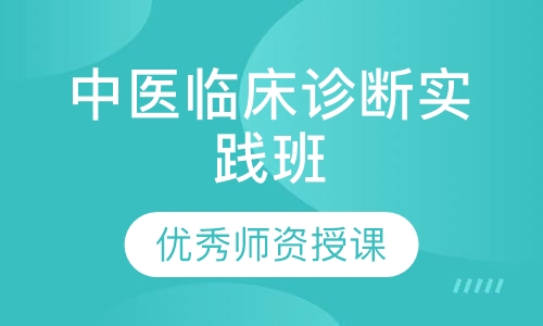 中医临床诊断实践班