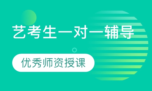 艺考生一对一辅导