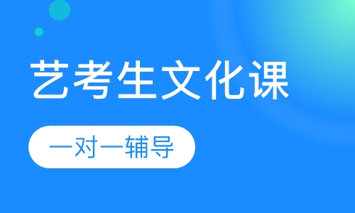 艺考生文化课一对一辅导