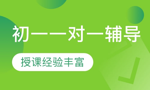 初一一对一辅导