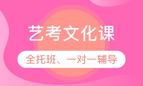 高三艺考生文化课全托、一对一辅导